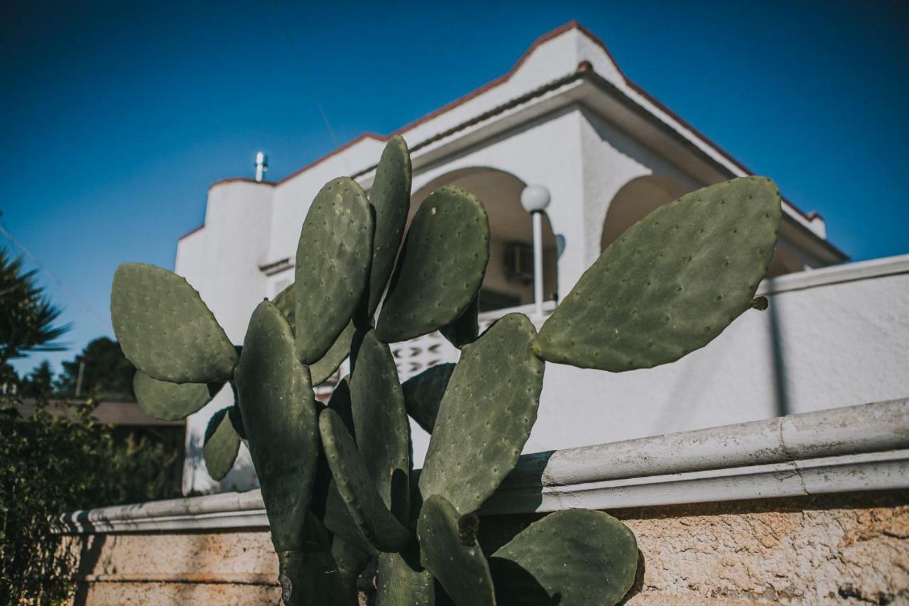 Paradiso Villa 오스투니 외부 사진
